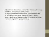 Apšvietimo ir šviesos siganlizacijos įrenginiai 14 puslapis