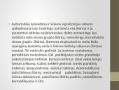 Apšvietimo ir šviesos siganlizacijos įrenginiai 19 puslapis