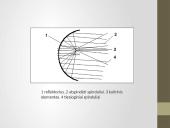 Apšvietimo ir šviesos siganlizacijos įrenginiai 7 puslapis