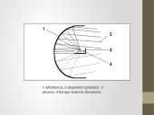 Apšvietimo ir šviesos siganlizacijos įrenginiai 8 puslapis