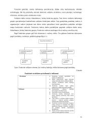 Organizavimo funkcija vadyboje 12 puslapis