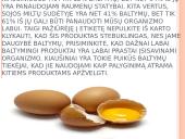 Skaidrės apie baltymus 13 puslapis