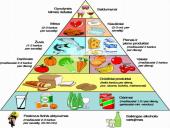 Skaidrės apie baltymus 17 puslapis