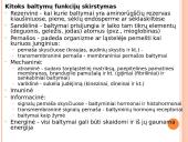 Skaidrės apie baltymus 5 puslapis