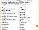 Skaidrės apie baltymus 8 puslapis