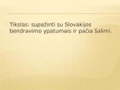 Slovakija skaidrės 2 puslapis