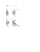 Rektion der wichtigsten deutschen Verben 3 puslapis