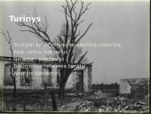 Černobylio atominės elektrinės avarija 2 puslapis