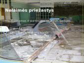 Černobylio atominės elektrinės avarija 5 puslapis