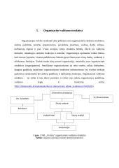 Baigiamosios praktikos įmonėje UAB “Avitela” ataskaita 11 puslapis