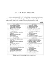 Baigiamosios praktikos įmonėje UAB “Avitela” ataskaita 18 puslapis