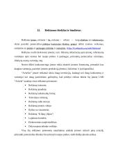 Baigiamosios praktikos įmonėje UAB “Avitela” ataskaita 20 puslapis