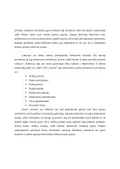 Baigiamosios praktikos įmonėje UAB “Avitela” ataskaita 5 puslapis