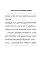 Baigiamosios praktikos įmonėje UAB “Avitela” ataskaita 6 puslapis