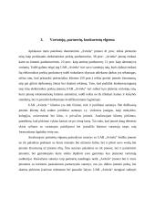 Baigiamosios praktikos įmonėje UAB “Avitela” ataskaita 8 puslapis