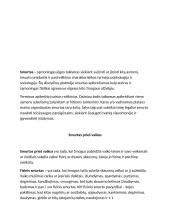 Smurtas, prievarta šeimoje 2 puslapis