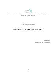Individualus karjeros planas