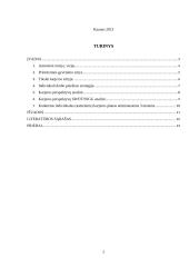 Individualus karjeros planas 2 puslapis