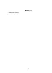 Individualus karjeros planas 13 puslapis