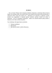 Individualus karjeros planas 3 puslapis