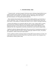 Individualus karjeros planas 4 puslapis