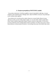 Individualus karjeros planas 9 puslapis