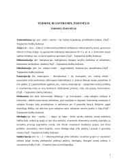 Totalitarizmas ir dehumanizacija 3 puslapis