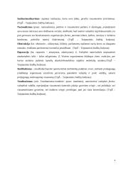 Totalitarizmas ir dehumanizacija 4 puslapis