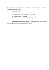 Totalitarizmas ir dehumanizacija 7 puslapis