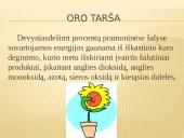 Demografijos bruožai ir įtaka ekologinei situacijai 11 puslapis