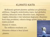 Demografijos bruožai ir įtaka ekologinei situacijai 12 puslapis