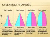 Demografijos bruožai ir įtaka ekologinei situacijai 4 puslapis