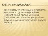 Demografijos bruožai ir įtaka ekologinei situacijai 6 puslapis