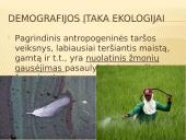 Demografijos bruožai ir įtaka ekologinei situacijai 7 puslapis