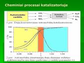 Cheminė kinetika ir pusiausvyra skaidrės 13 puslapis