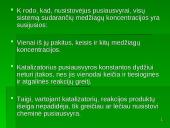 Cheminė kinetika ir pusiausvyra skaidrės 18 puslapis