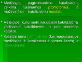 Cheminė kinetika ir pusiausvyra skaidrės 9 puslapis