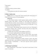 VšĮ „Paplūdimio žaidimai“ verslo planas 4 puslapis