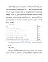 VšĮ „Paplūdimio žaidimai“ verslo planas 5 puslapis