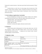 VšĮ „Paplūdimio žaidimai“ verslo planas 6 puslapis
