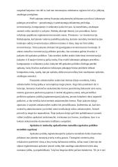 Įmonės apskaitos politikos pasirinkimas 12 puslapis