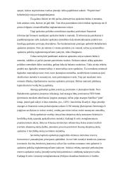 Įmonės apskaitos politikos pasirinkimas 13 puslapis