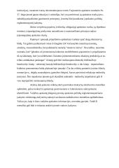 Įmonės apskaitos politikos pasirinkimas 14 puslapis