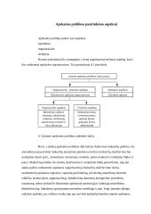 Įmonės apskaitos politikos pasirinkimas 5 puslapis