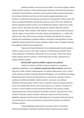 Įmonės apskaitos politikos pasirinkimas 8 puslapis