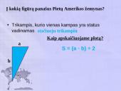Žemynai ir geometrinės figūros 13 puslapis