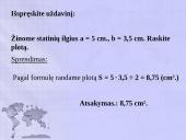 Žemynai ir geometrinės figūros 14 puslapis