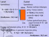 Žemynai ir geometrinės figūros 20 puslapis