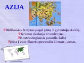 Žemynai ir geometrinės figūros 8 puslapis