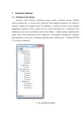 Objektiškai orientuoto projektavimo šablonų taikymas 3 puslapis
